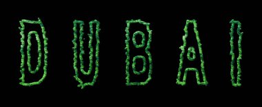 Dubai Ormanı, Dubai Şehir Kubbesi