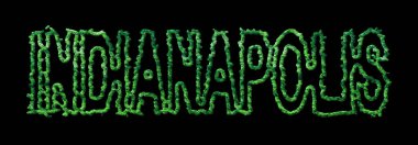 Indianapolis Ormanı, Indianapolis Siyah Şehir Tepesi