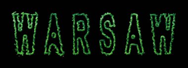 Varşova Ormanı, Varşova Şehir Tepesi