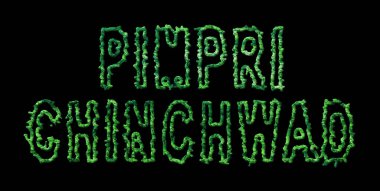 Pimpri Chinchwad Ormanı, Pimpri Chinchwad Siyah Şehir Tepesi