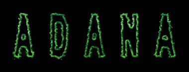 Adana Ormanı, Adana Siyah Şehir Tepesi