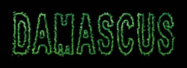 Şam Ormanı, Şam Kara Kubbe Üzerinde