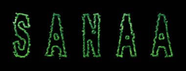 Sanaa Ormanı, Sanaa Şehir Kubbesi