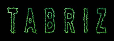 Tabriz Ormanı, Tabriz Siyah Şehir Tepesi