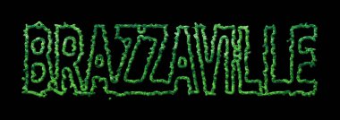 Brazzaville Ormanı, Brazzaville Şehir Tepesi Siyah