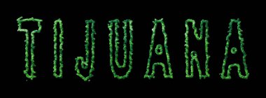 Tijuana Ormanı, Tijuana Siyah Şehir Tepesi