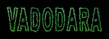 Vadodara Ormanı, Vadodara Kara Kubbe