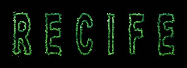 Reclife Ormanı, Recife Urban Canopy on Black