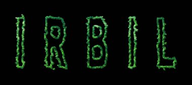 Irbil Ormanı, Irbil Şehir Tepesi Siyah