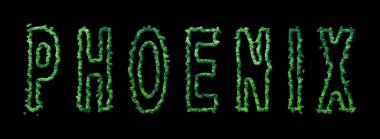 Phoenix Ormanı, Phoenix Şehir Ormanı Kara Kubbe