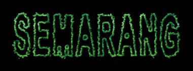 Semarang Ormanı, Semarang Şehir Tepesi