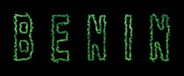 Benin Ormanı, Benin Şehir Kubbesi