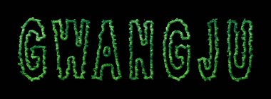 Gwangju Ormanı, Gwangju Şehir Kubbesi