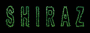 Shiraz Ormanı, Shiraz Şehir Ormanı Kara Kubbe