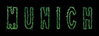 Münih Ormanı, Münih Şehir Tepesi Siyah