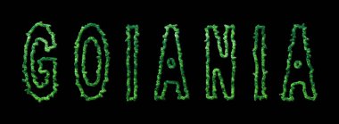 Goiania Ormanı, Goiania Şehir Kubbesi