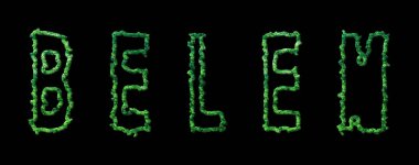 Belem Ormanı, Belem Şehir Ormanı Kara Kubbe