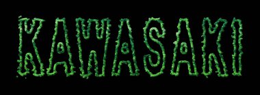 Kawasaki Ormanı, Kawasaki Şehir Tepesi