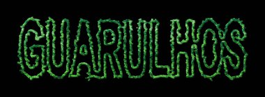 Guarulhos Ormanı, Guarulhos Kara Şehir Tepesi