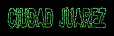 Ciudad Juarez Ormanı, Ciudad Juarez Siyah Şehir Tepesi