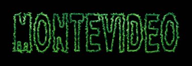 Montevideo Ormanı, Montevideo Şehir Tepesi Siyah