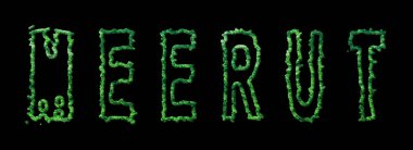 Meerut Ormanı, Meerut Şehir Kara Tepe Örtüsü