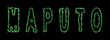 Maputo Ormanı, Maputo Şehir Kubbesi