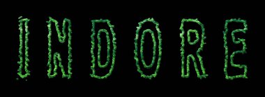 Indore Ormanı, Indore Şehir Tepesi Siyah