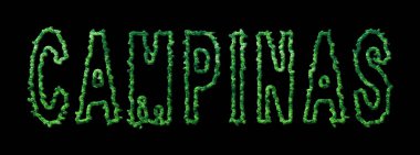 Campinas Ormanı, Campinas Şehir Tepesi Siyah