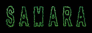 Samara Ormanı, Samara Şehir Kubbesi