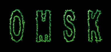 Omsk Ormanı, Omsk Şehir Kara Tepe Örtüsü