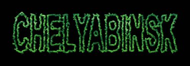 Chelyabinsk Ormanı, Chelyabinsk Siyah Şehir Tepesi