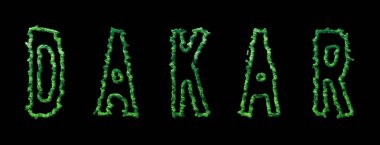 Dakar Ormanı, Dakar Şehir Kara Tepe Örtüsü