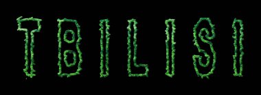 Tiflis Ormanı, Tiflis Şehir Tepesi