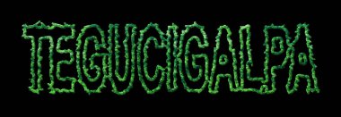 Tegucigalpa Ormanı, Tegucigalpa Şehir Tepesi Siyah