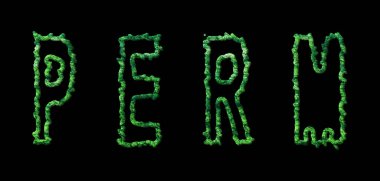 Perma Ormanı, Perma Şehir Örtüsü Siyah Üzerine