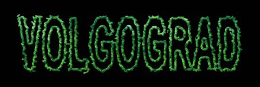 Volgograd Ormanı, Volgograd Siyah Şehir Tepesi