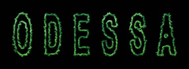 Odessa Ormanı, Odessa Siyah Şehir Tepesi