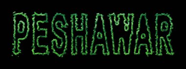 Peşaver Ormanı, Peşaver Şehir Örtüsü Siyah Üzerinde