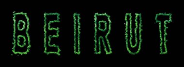 Beyrut Ormanı, Beyrut Şehir Tepesi Siyah Üzerinde