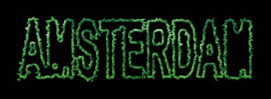 Amsterdam Ormanı, Amsterdam Siyah Şehir Tepesi