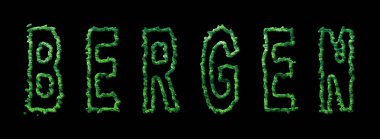 Bergen Ormanı, Bergen Şehir Tepesi Siyah