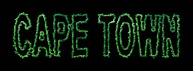 Cape Town Ormanı, Cape Town Şehir Kubbesi