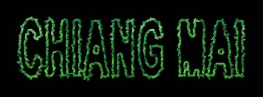 Chiang Mai Ormanı, Chiang Mai Şehir Kubbesi