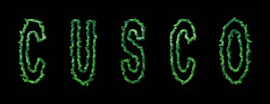 Cusco Ormanı, Cusco Şehir Tepesi Siyah