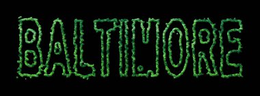 Baltimore Ormanı, Baltimore Siyah Şehir Tepesi