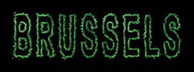 Brüksel Ormanı ve Brüksel Siyahi Şehir Tepesi