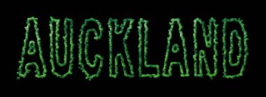 Auckland Ormanı, Auckland Şehir Tepesi Siyah