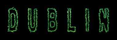 Dublin Ormanı, Dublin Şehir Ormanı Kara Kubbe