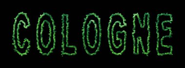 Köln Ormanı, Köln Şehir Örtüsü